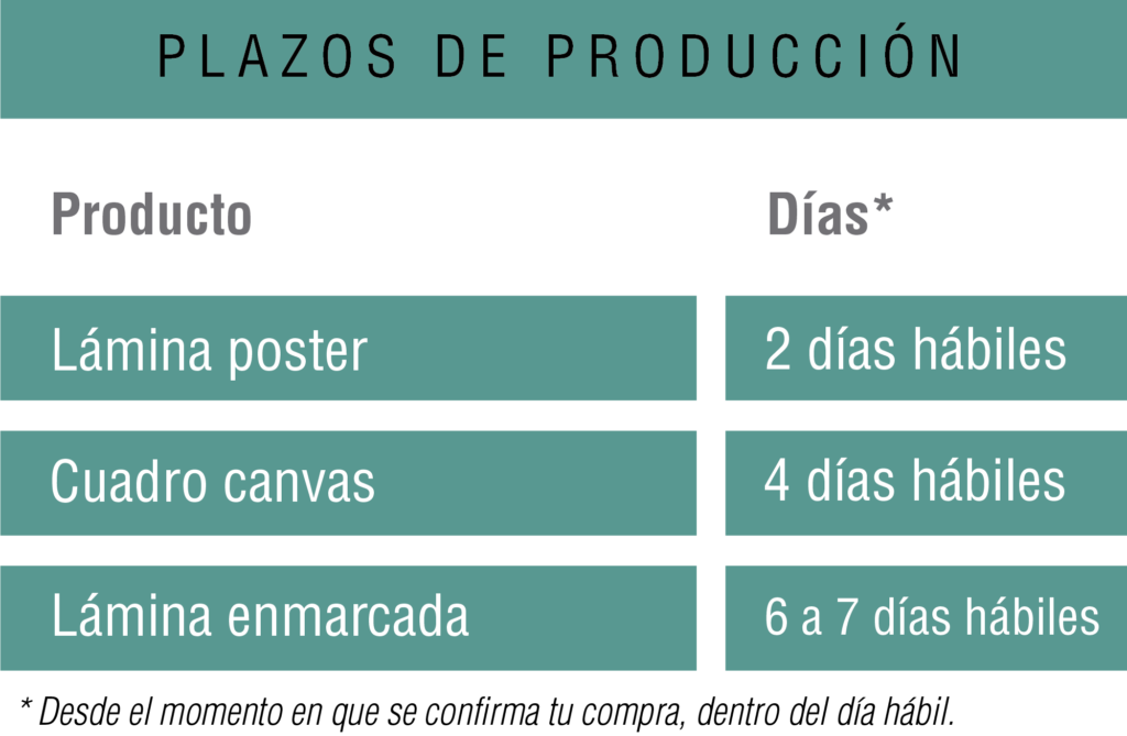 Plazos de producción